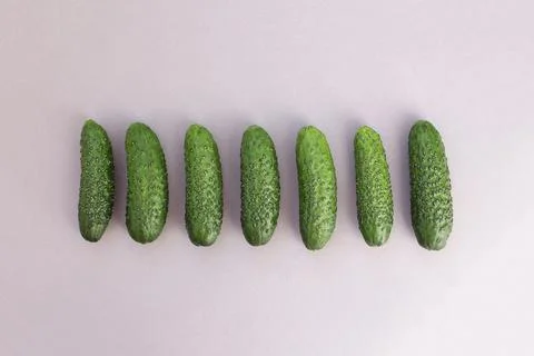 Fresh cucumbers Stock Photos