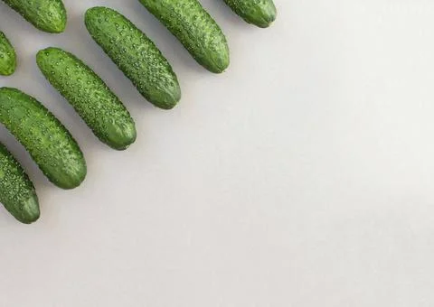 Fresh cucumbers Stock Photos
