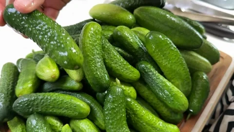 Fresh Cucumbers Pile Stock Footage 313363649