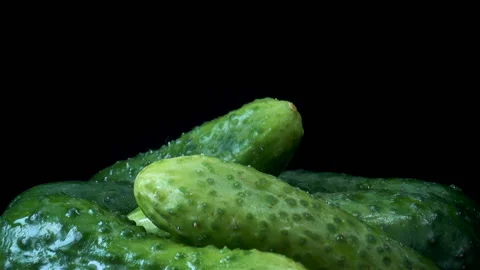 Fresh cucumbers on plate Stock Footage 137307236