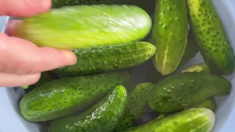 Fresh Cucumbers Prepared for Cooking Vídeos de archivo 343865108