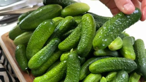 Fresh Cucumbers Selection Stock Footage 313363605