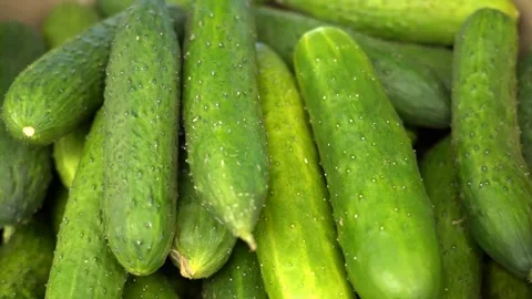 Fresh cucumbers on the shelf Video stock 156374754