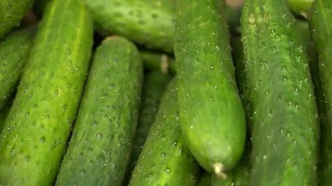 Fresh cucumbers on the shelf 動画素材 166155392