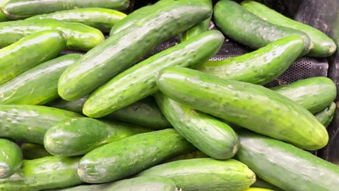 Fresh cucumbers stacked and ready to sell Stock Footage 344906313