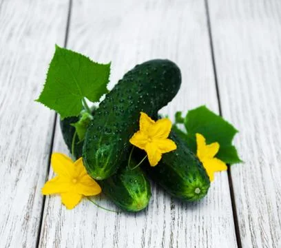 Fresh cucumbers on a table Stock Photos