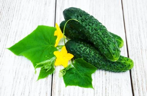 Fresh cucumbers on a table Stock Photos