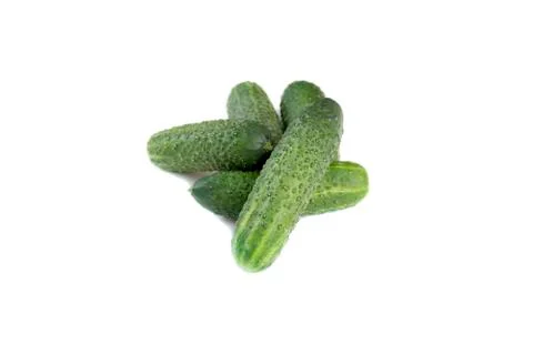 Fresh cucumbers on white background Stock Photos