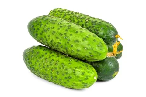 Fresh cucumbers on white background Stock Photos