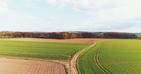 Fresh Cultivated agricultural field - GMO free food production Stock Footage