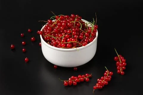 Fresh currant branches on dark background. Close up. Selective focus. usefu.. Stock Photos
