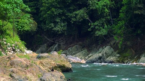 Fresh current with rocky bed running among dense jungle. Sumatra Stock Footage 75041559