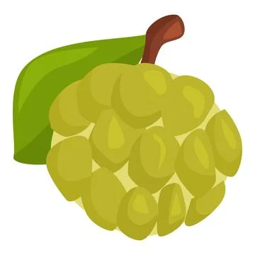 Fresh custard apple showing its ripe green skin and leaf Stock Illustration