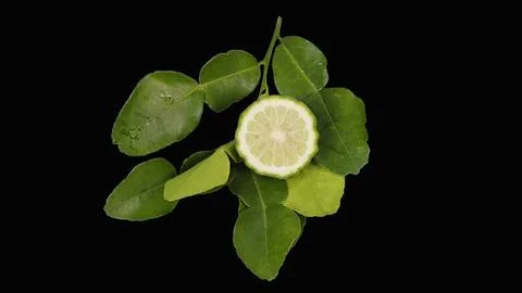 Fresh cut bergamot fruit slice with green leaves isolated on black background. Stock Photos