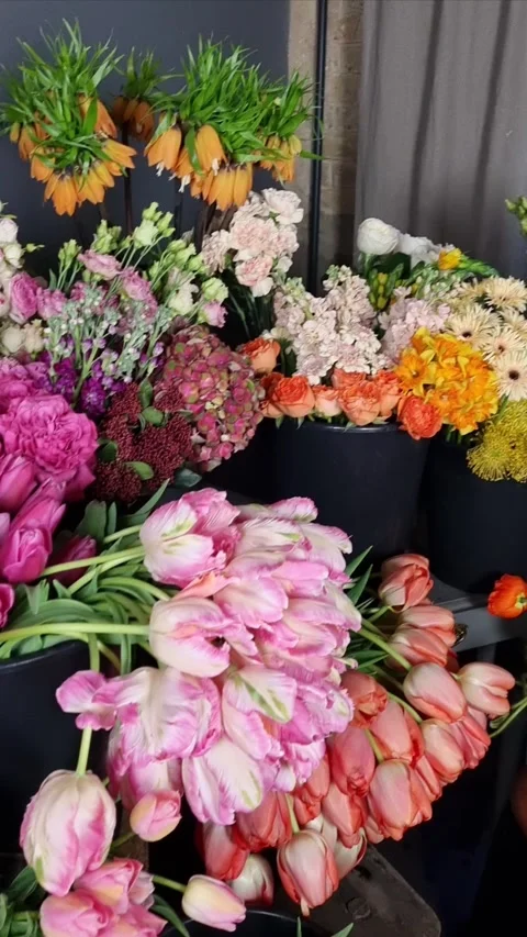 Fresh-cut flowers are displayed at a flower shop. A variety of fresh flowers to  Stock Footage 312915826