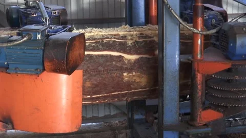 Fresh cut pine tree log processing on sewing machine at timber production mill Stock Footage 264232026