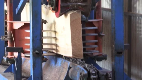 Fresh cut pine tree log processing on sewing machine at timber production mill Stock Footage 264232244