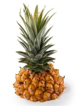 Fresh cut pineapple fruit isolated on white background with clipping path. Stock Photos