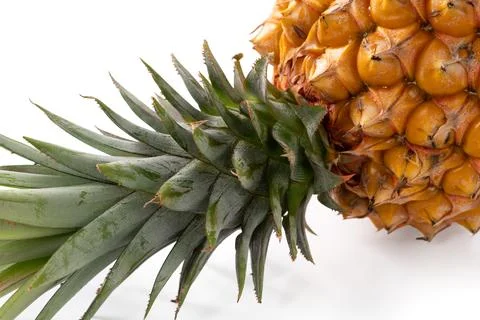 Fresh cut pineapple fruit isolated on white background with clipping path. Stock Photos