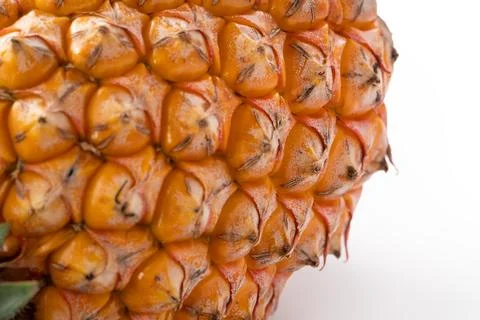 Fresh cut pineapple fruit isolated on white background with clipping path. Stock Photos