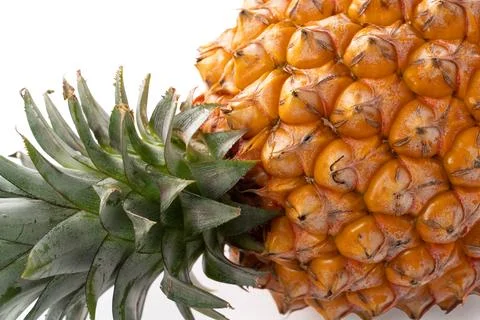 Fresh cut pineapple fruit isolated on white background with clipping path. Stock Photos