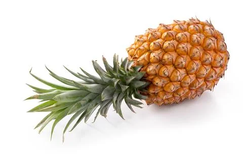 Fresh cut pineapple fruit isolated on white background with clipping path. Stock Photos