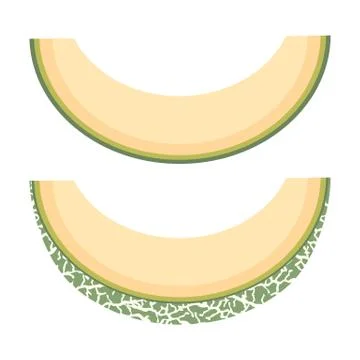 Fresh cut slice melon fruit isolated on white background. Cantaloupe melon. S Stock Illustration
