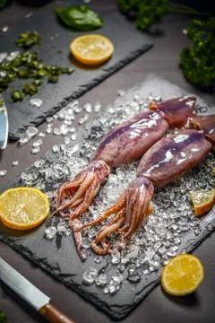 Fresh cuttlefish Stock Photos