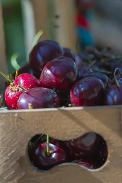 Fresh dark sweet cherries in rustic wooden crate with selective focus at lo.. Stockfoto's