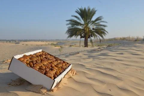 Fresh Dates Box on Desert Sand Dunes Fotos Stock