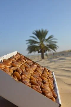 Fresh Dates Box on Desert Sand Dunes Fotos Stock