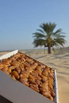 Fresh Dates in Box on Desert Sand with Palm Tree Background Stock Photos