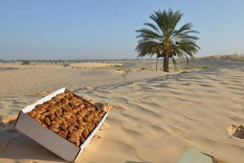 Fresh Dates in Box on Desert Sand with Palm Tree Background Stock Photos
