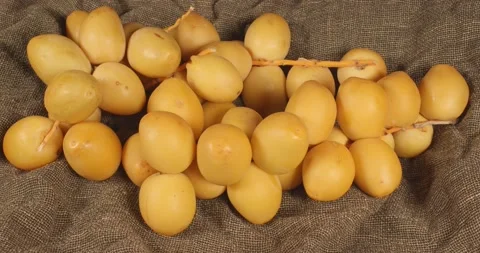 Fresh dates closeup selective focus Stock Footage 205474572