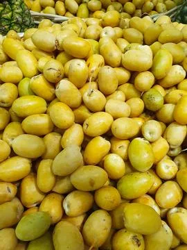 Fresh dates displayed in baskets at traditional market. Middle Eastern food, hea Fotos de archivo