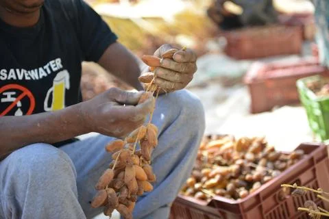 Fresh Dates in Harvest Crate Stock Photos