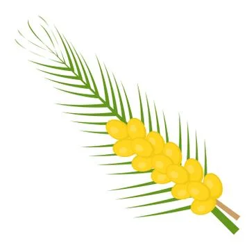 Fresh dates icon flat, cartoon style. Yellow fruit isolated on white background Stock Illustration