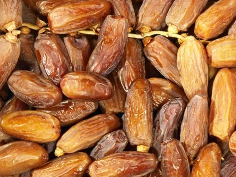 Fresh dates. Stock Photos