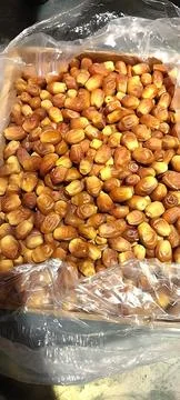 Fresh dates Stock Photos