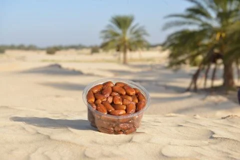 Fresh Dates in a Plastic Container on Desert Sand with Palm Trees in Backgrou Stock Photos