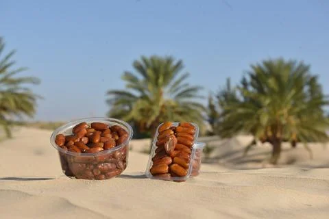 Fresh Dates in Plastic Containers on Desert Sand with Palm Trees in Backgroun Stock Photos
