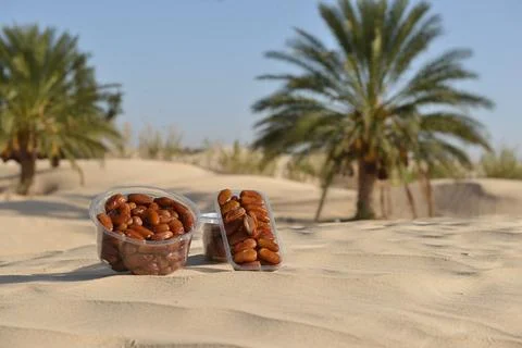 Fresh Dates in Plastic Containers on Desert Sand with Palm Trees in Backgroun Stock Photos