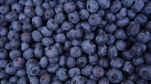 Fresh Delicious blueberries background. Texture of blueberry berries Stock Footage 263882153
