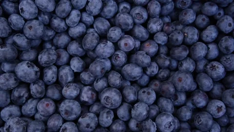 Fresh Delicious blueberries background. Texture of blueberry berries Stock Footage 268982115