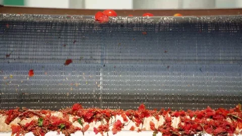 Fresh diced tomatoes falling onto conveyor belt in food processing Vídeo Stock 347964724