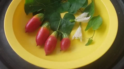 Fresh Diet Stock Footage 297752286