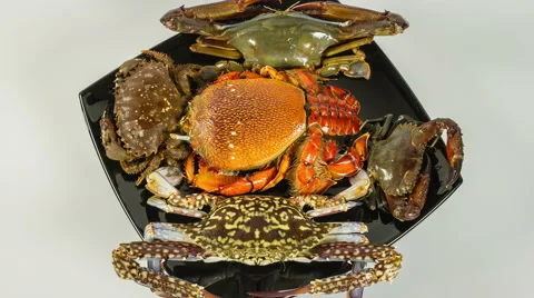 Fresh different crabs on a plate close-up rotation Vídeo Stock 54686418