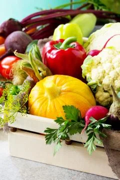 Fresh different vegetables on a gray stone or slate background. Stock Photos