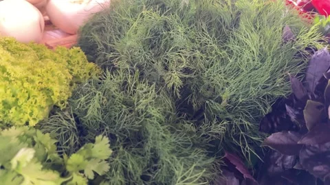 Fresh Dill and Purple Basil Bunches Displayed at Farmers Market Showing Stock Footage 345182938