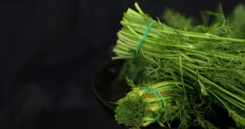 Fresh dill branches rotating on black background 2 Stock Footage 139795668